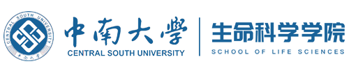 suncitygroup太阳集团官网